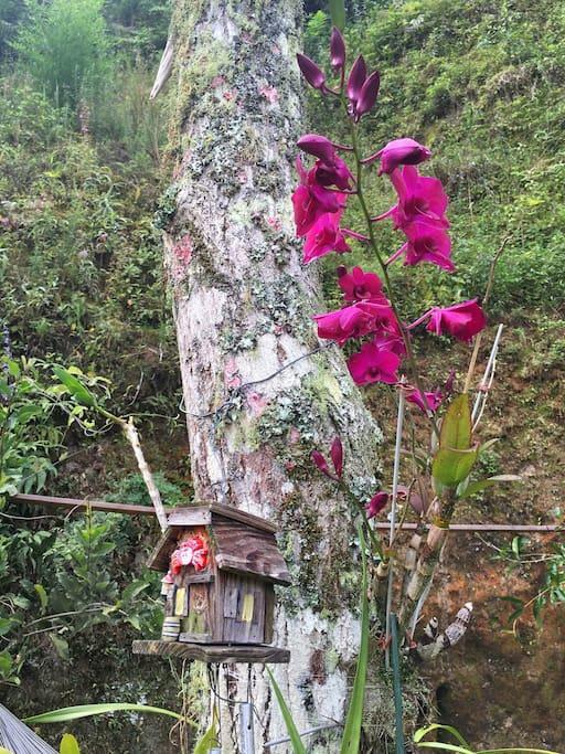 Loft Aconchego Da Serra Petrópolis Eksteriør billede