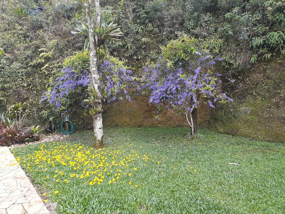 Loft Aconchego Da Serra Petrópolis Eksteriør billede